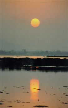 20060901144200-atardecer1.jpg