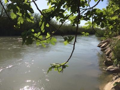 20140512085034-vv.jpg